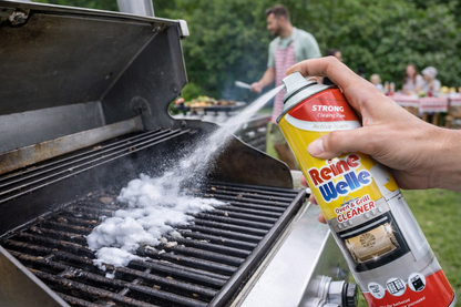 Reine Welle Oven & Grill Cleaner